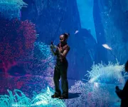 SUBMERGE at ARTECHOUSE