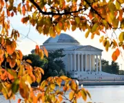 @la_hoverman_dc - Fall foliage on the National Mall's Tidal Basin - Free outdoor fall activities in Washington, DC