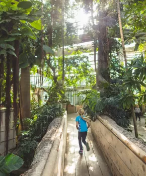 Ragazza che corre all'interno del giardino botanico degli Stati Uniti