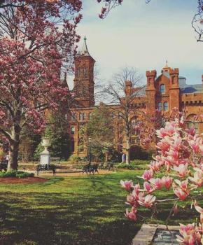@pinkie925 - Frühlingsblumen vor dem Smithsonian Castle in der National Mall in Washington, DC