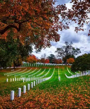 @tomberrigan - Folhagem de outono no Cemitério Nacional de Arlington - Locais importantes para ver no Cemitério Nacional de Arlington