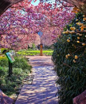 @triphacksdc - Smithsonian Enid Haupt Garden - Gardens in Washington, DC