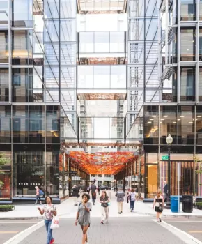 Instalação de outono em Palmer Alley em CityCenterDC - Onde fazer compras em Washington, DC