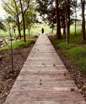 Your Guide To Visiting The Glenstone Museum Washington Dc Speculators say it may be original builder upton beall, his wife jane, or one of their daughters: glenstone museum washington dc