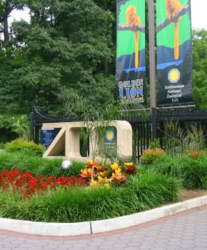 Woodley Park National Zoo