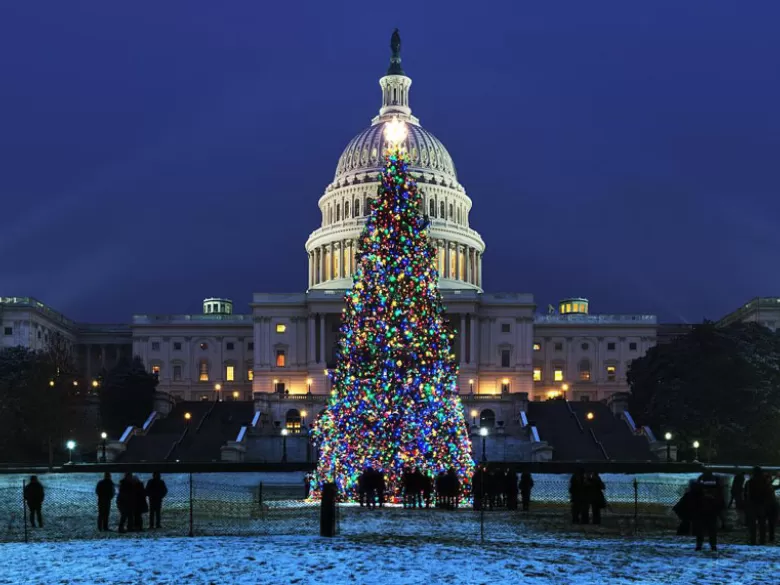 @insiteimage - Nighttime at the United States Capitol Christmas Tree - Holiday light displays in Washington, DC