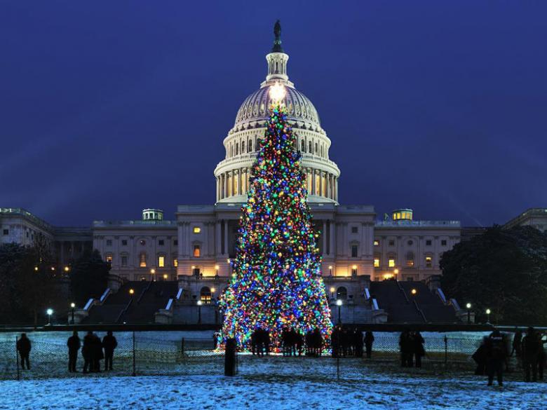 @insiteimage - Noite na Árvore de Natal do Capitólio dos Estados Unidos - Luzes do feriado em Washington, DC