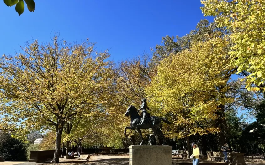 washington dc