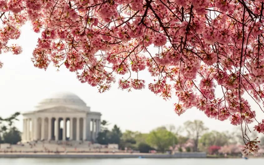 Washington dC