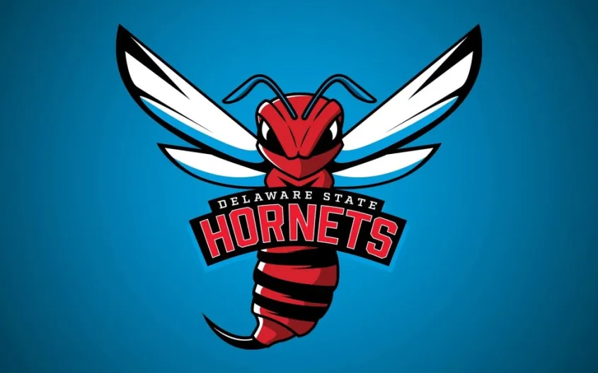 Delaware State Hornets at Georgetown Hoyas Mens Basketball