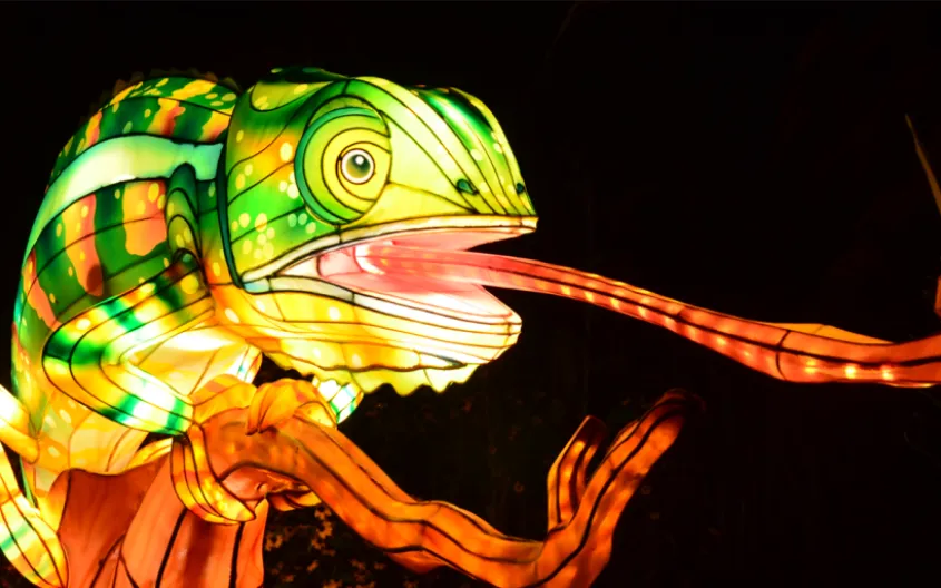 Zoo Lights 2026