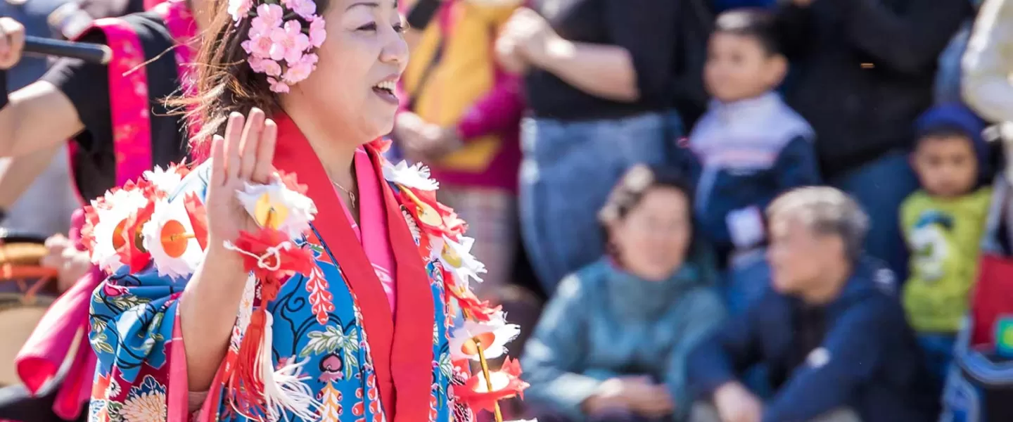 national cherry blossom festival