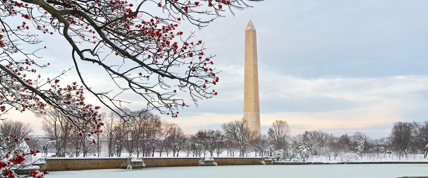 Monumento a Washington dal bacino di marea in inverno