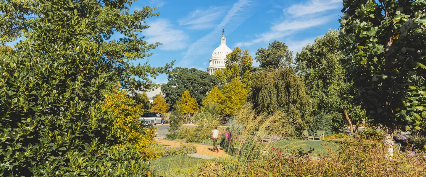 Rose Garden with US Capitol in background