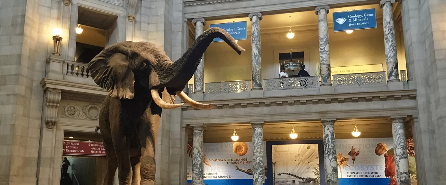 Natural History Museum lobby