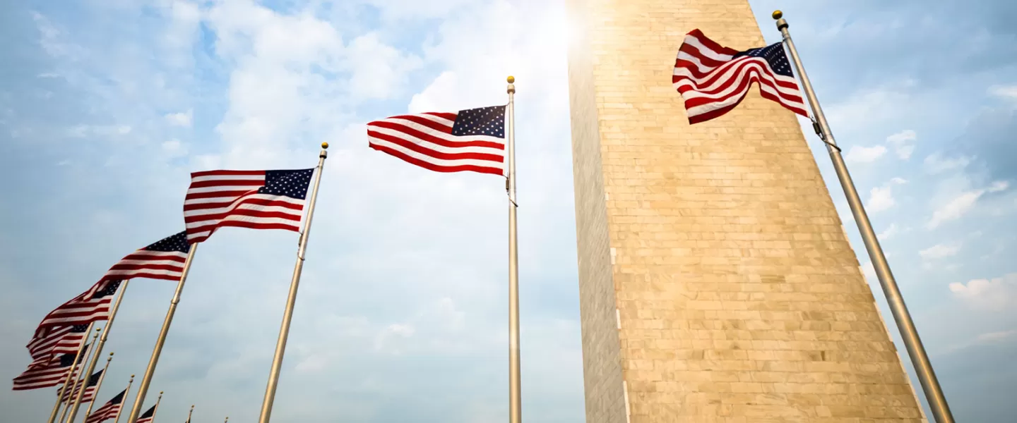 Bandiere degli Stati Uniti intorno al monumento a Washington