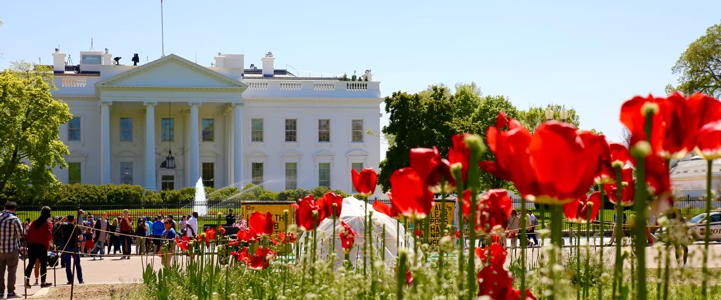 Casa blanca con tulipanes en frente