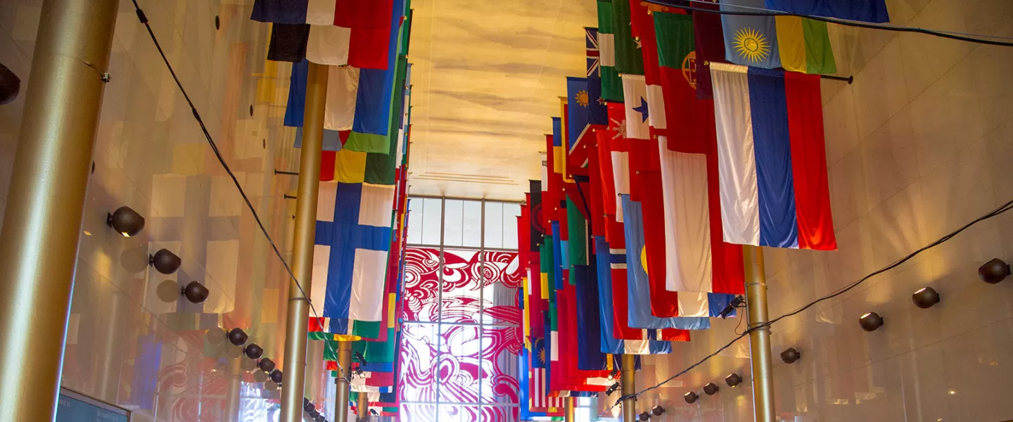 International Flags at Kennedy Center