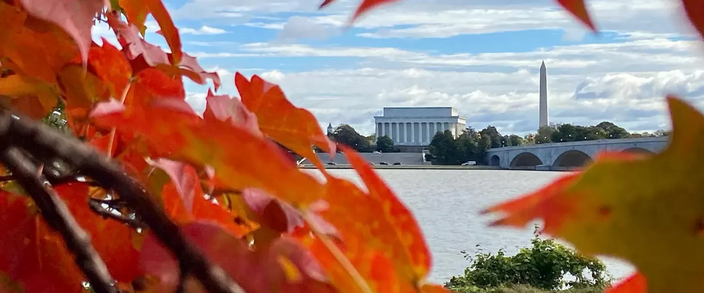 @rlvillarreal - Fall shot of Arlington Bridge and DC skyline