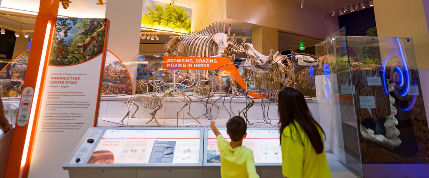 Adulto e criança apontando para um fóssil de dinossauro