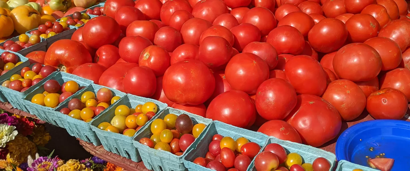 Obst- und Gemüseausstellung auf dem Bauernmarkt von Dupont Circle