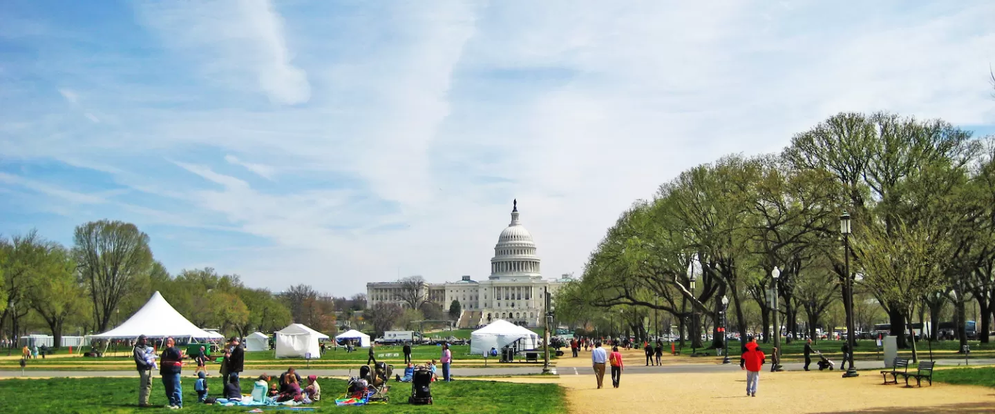 National Mall mit dem Capitol in der Ferne und Menschen auf dem Rasen