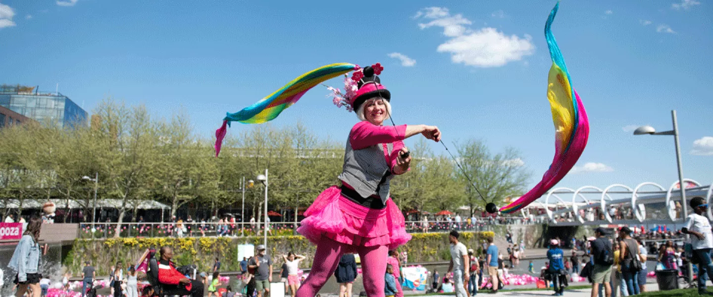 National Cherry Blossom Festival