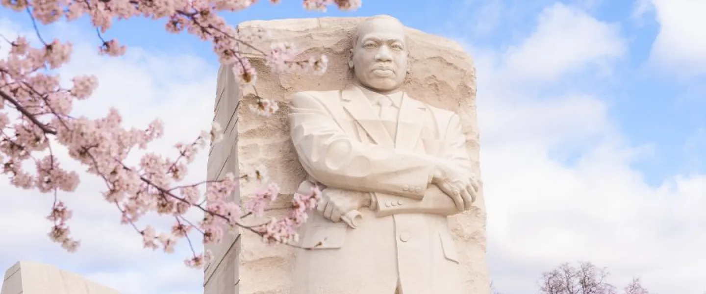 Cherry Blossoms at MLK Memorial