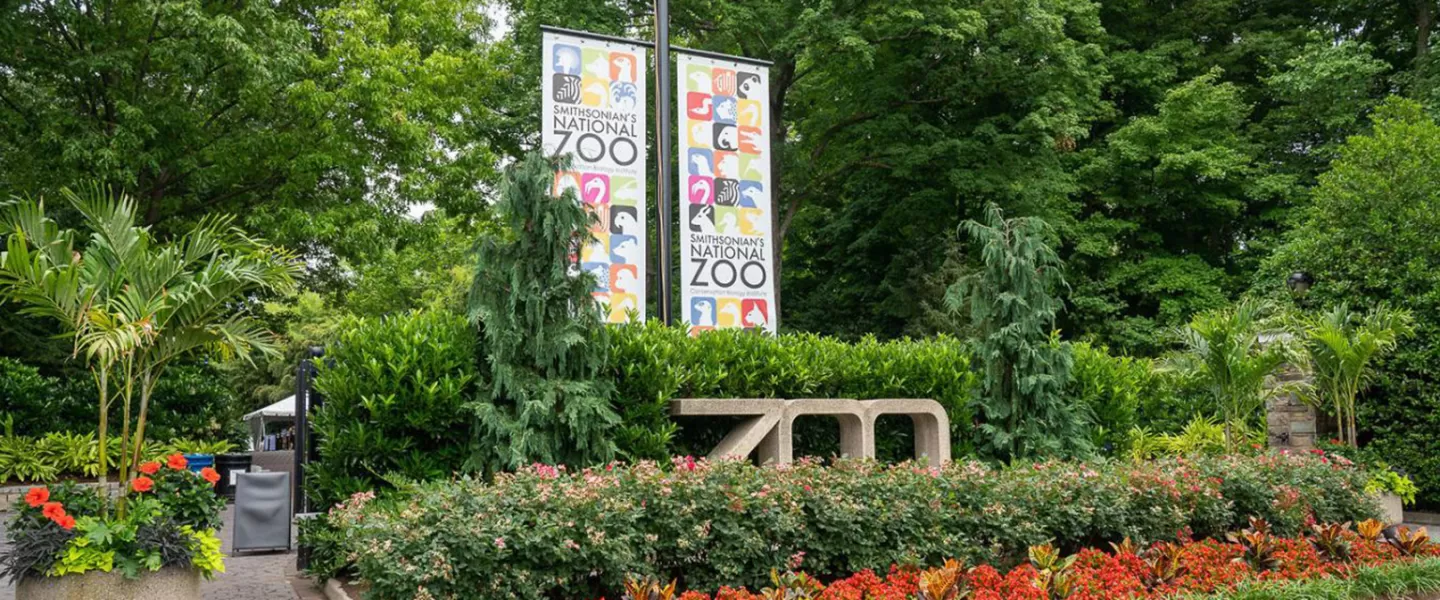 Ingresso allo zoo nazionale