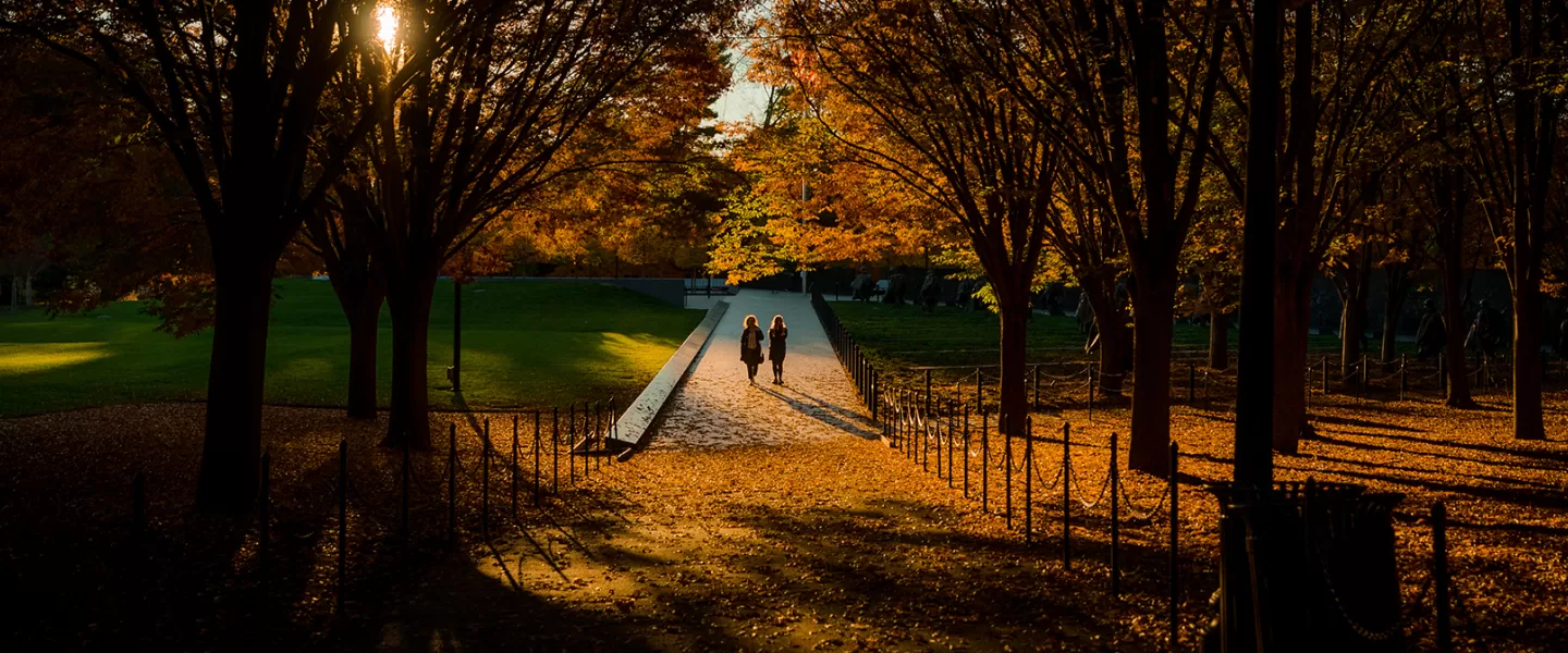 National Mall in Fall