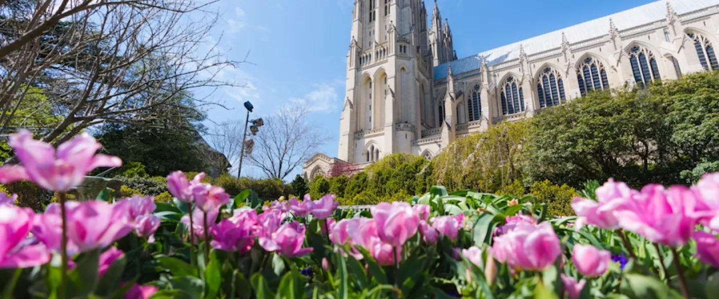 National Cathedral mit einigen Blumen