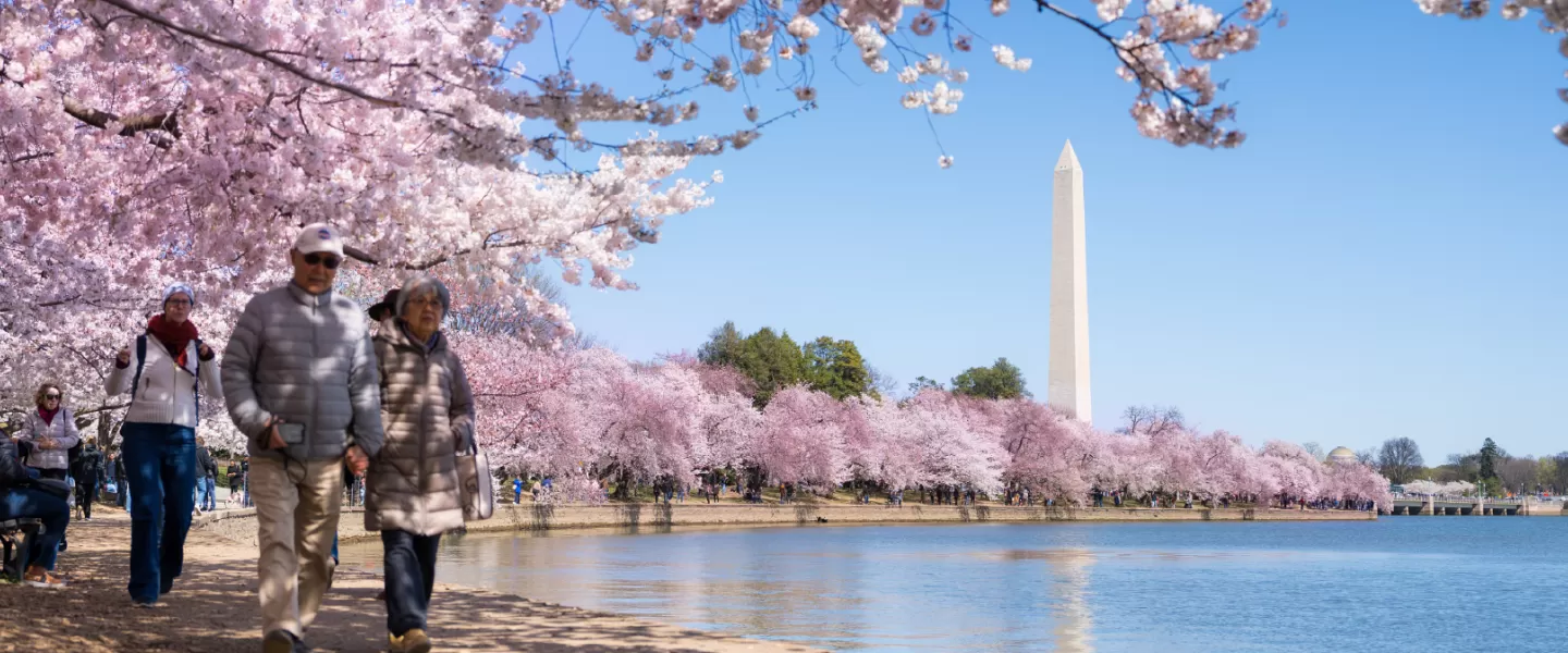 Tidal Basin in Spring