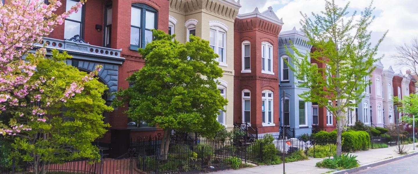 A row of colorful historic rowhouses in Washington, DC, framed by lush greenery and blooming trees.