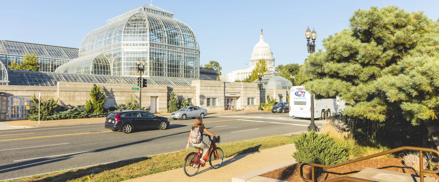A person rides a bike past the U.S. Botanic Garden with the U.S. Capitol dome visible in the background on a sunny day in Washington, DC.