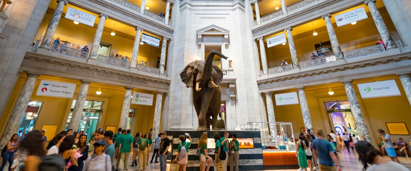 国立自然史博物館を訪問| ワシントンDC