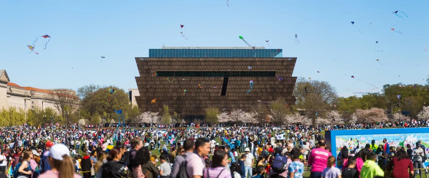 A wide shot of the National Mall during the National Cherry Blossom Festival with the National Museum of African American History and Culture prominently in the background.