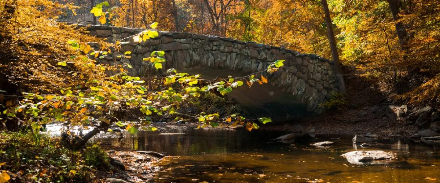 Rock Creek Park in Fall