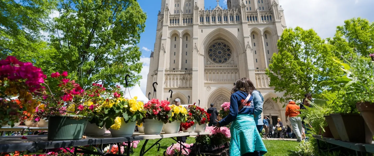 People browse potted plants and flowers on a sunny spring day with the Washington National Cathedral soaring above in the background. 
