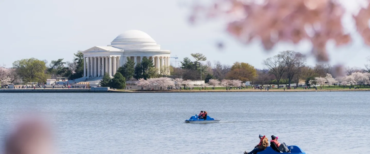 A view of the Jefferson Memorial from across the Tidal Basin, with blooming cherry blossom trees in the foreground and paddle boats in the water.