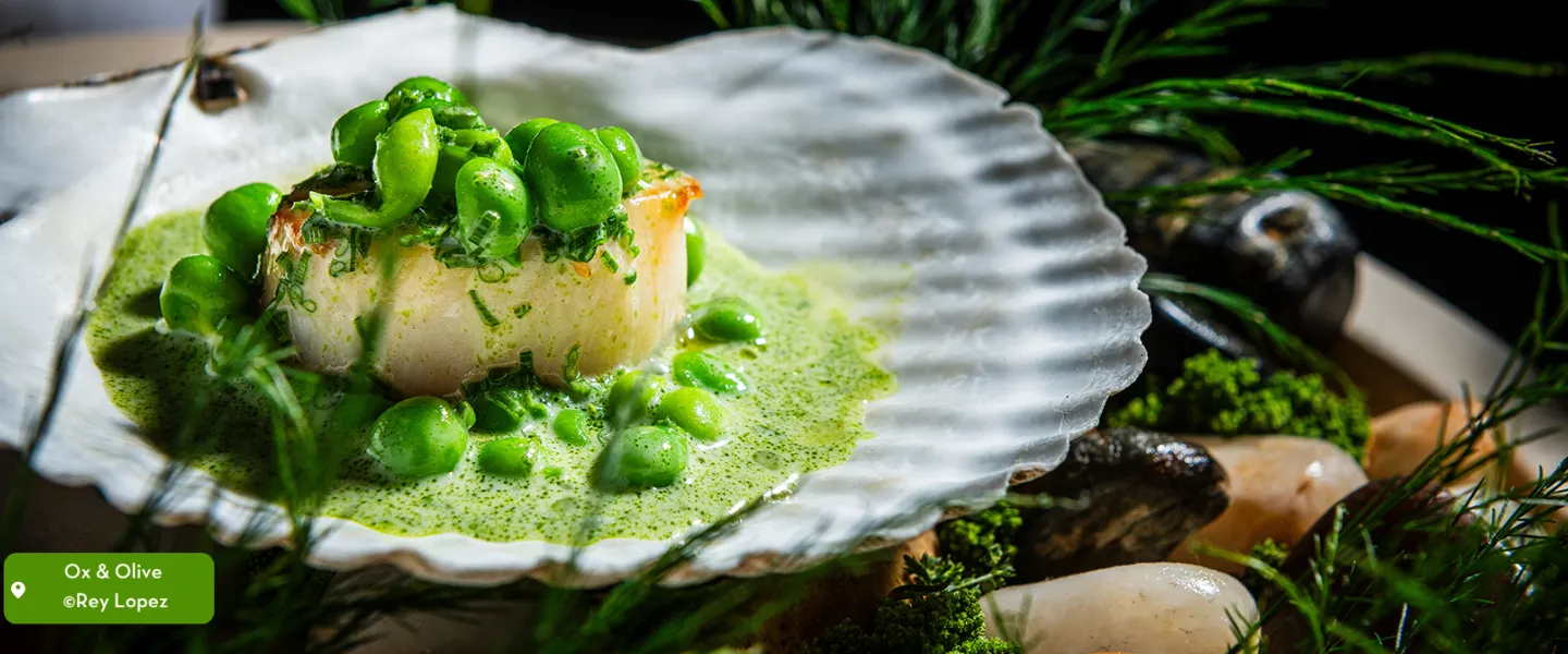An elegant scallop with green garnish and sauce atop a shell.