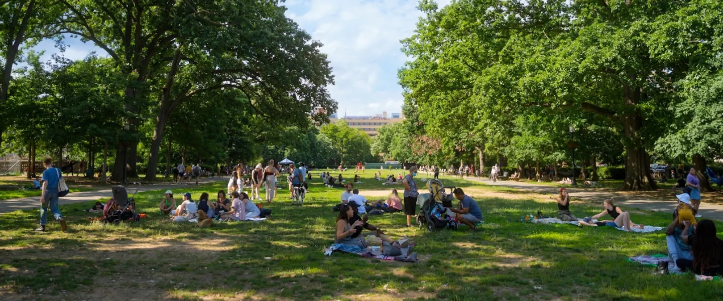 People relaxing and picnicking on a grassy park lawn under large trees, sunny day