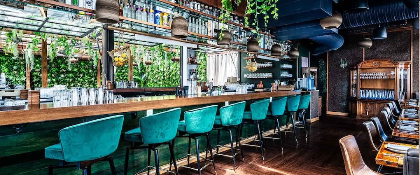Empty bar with teal stools, hanging plants and sunlit wood floors