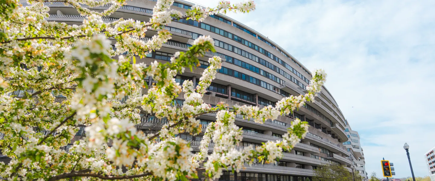 Curved multi-story building, the Watergate Hotel, behind flowering tree at a DC street corner.