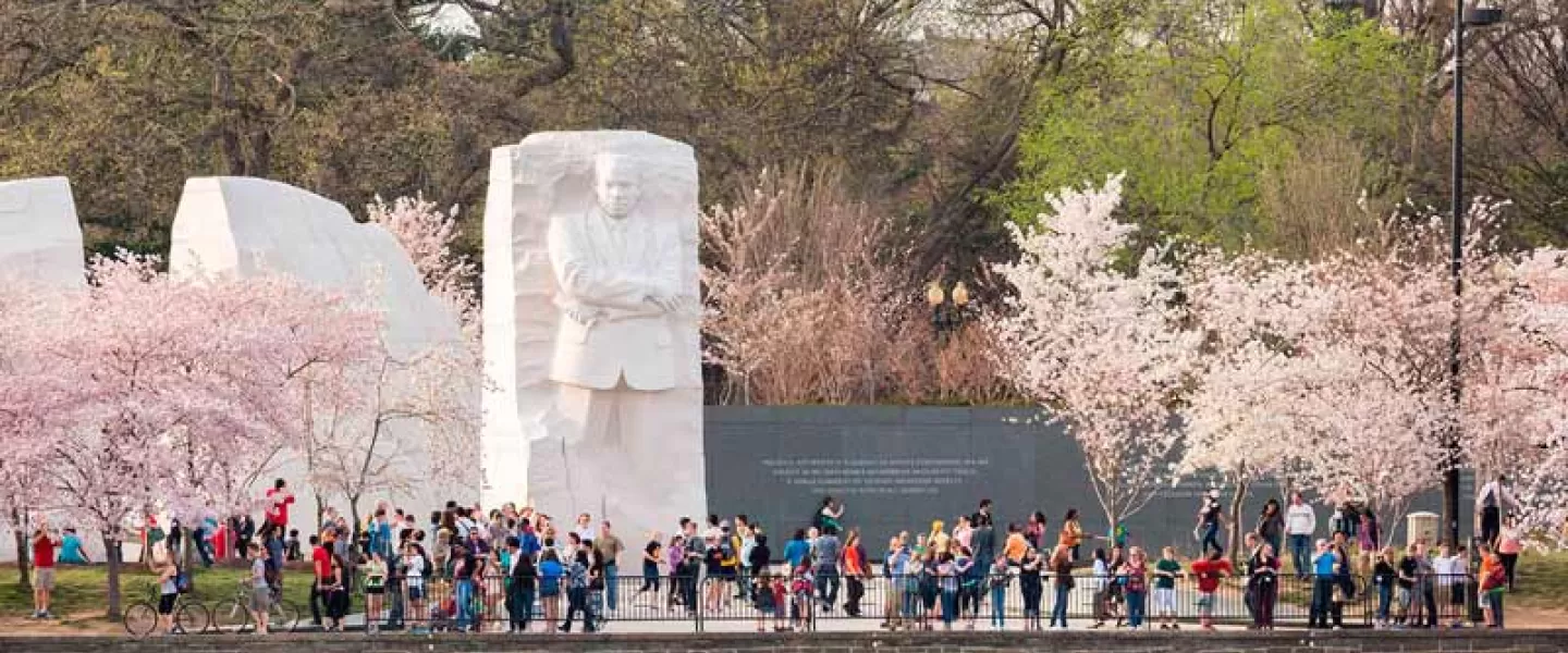 Vista do Memorial Martin Luther King Jr. durante a temporada de flores de cerejeira - Memoriais no National Mall em Washington, DC