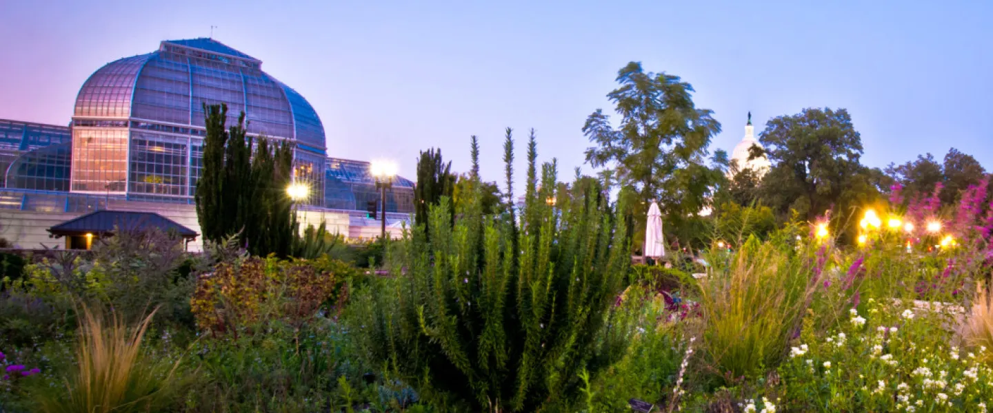 USBG After Dark: Pick Your Poison