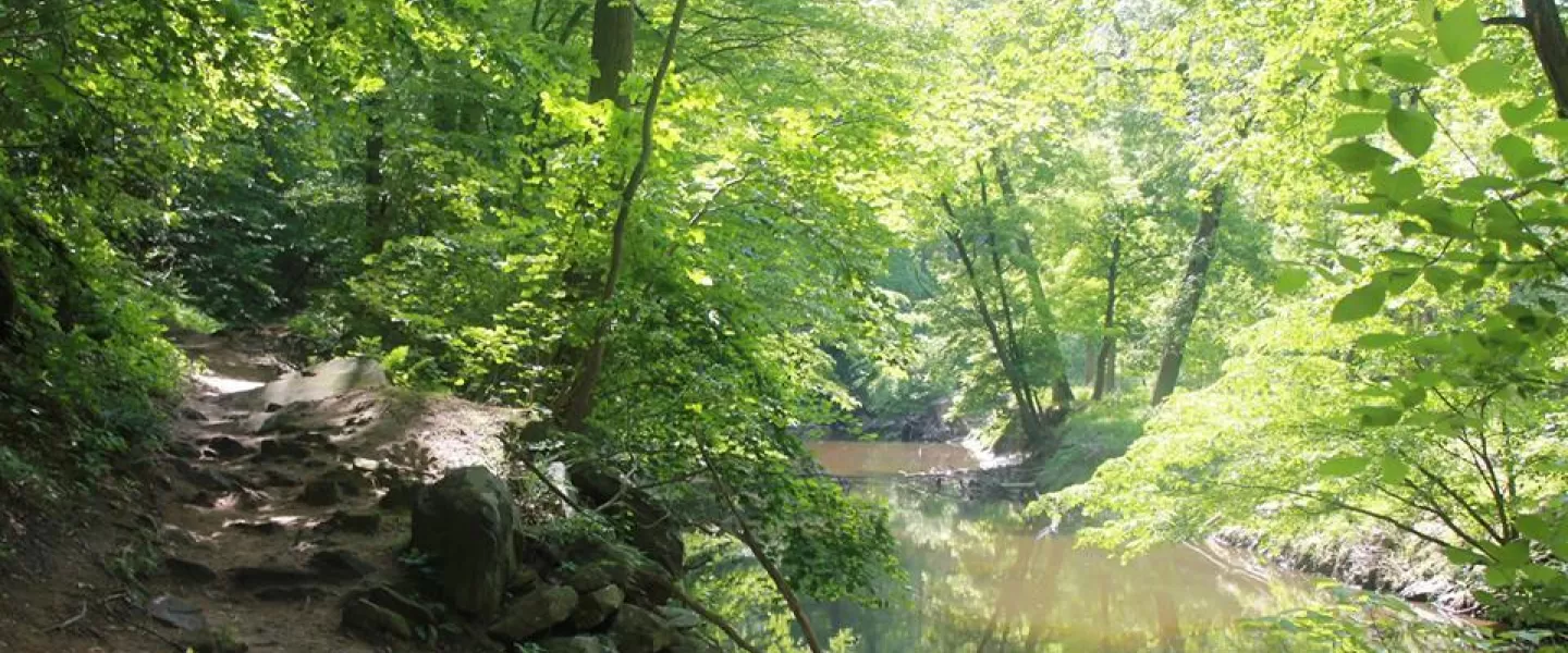 Rock Creek Park | Washington DC