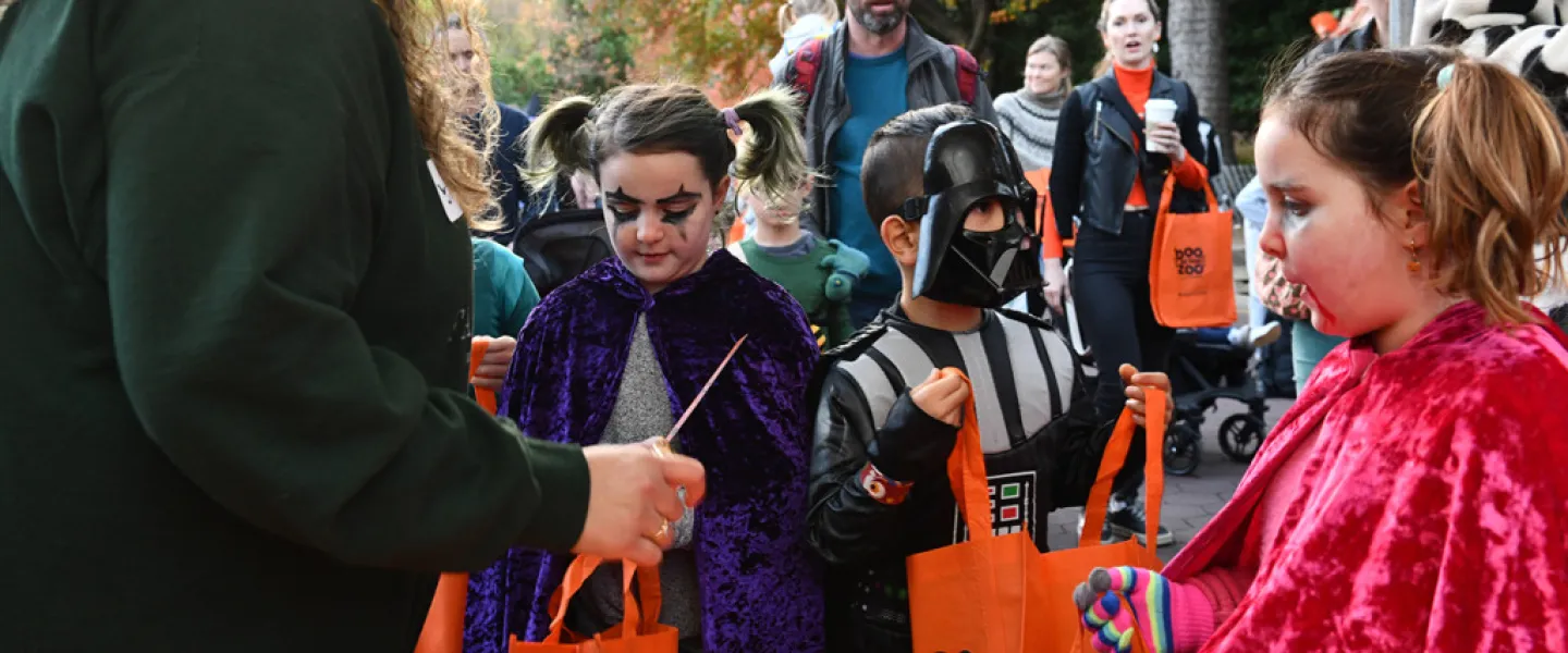 Boo at the Zoo 2026