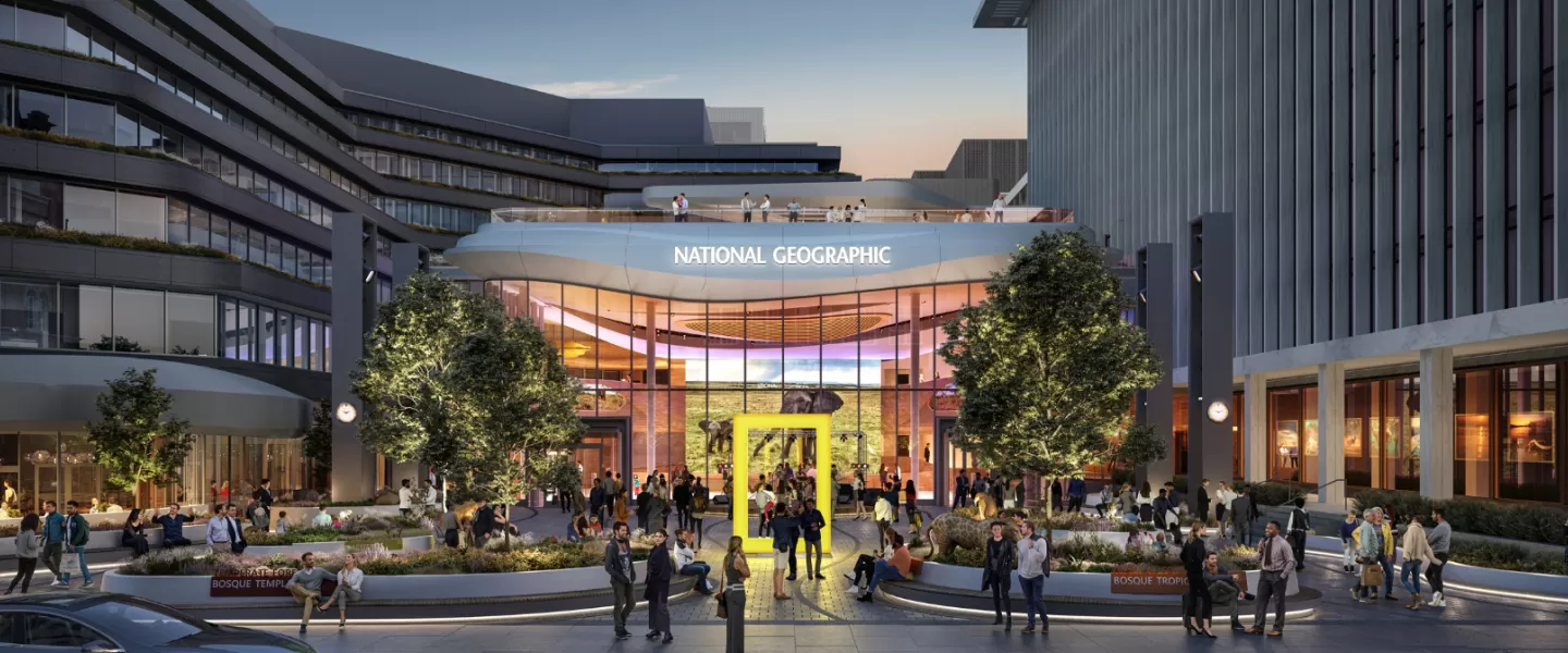 National Geographic(ナショナルジオグラフィック) 暗闇で光るガラスマーブル メッシュ収納バッグ 女の子&男の子に最適 クリエイティ : NATIONAL GEOGRAPHIC (ナショナル ジオグラフィック