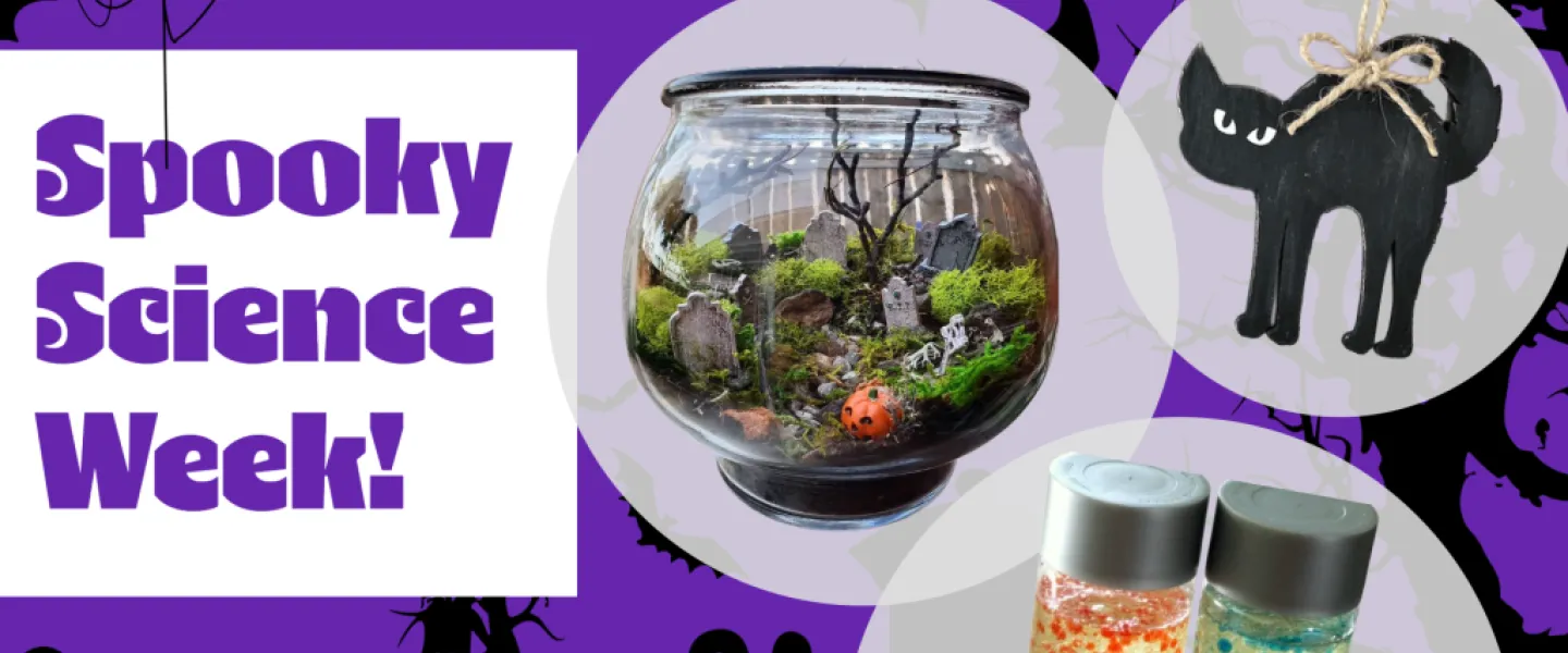 Spooky Science Week at Because Science