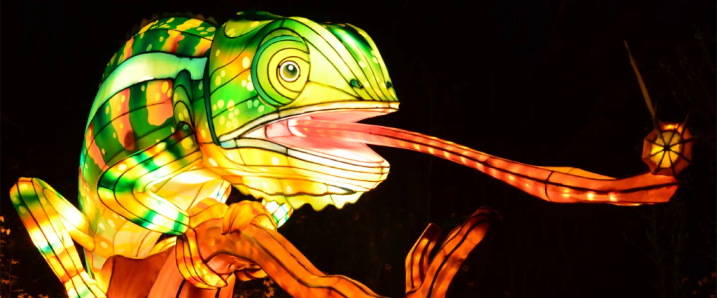 Zoo Lights 2026